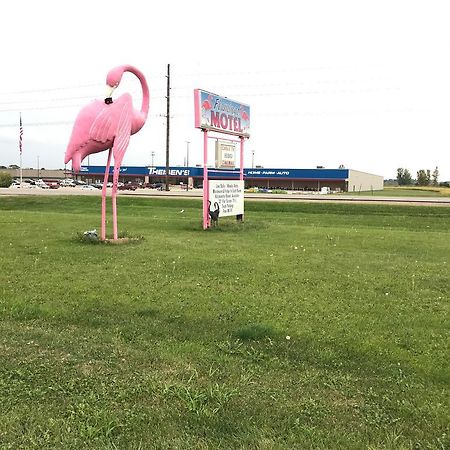 Flamingo Motel Marshalltown Exteriér fotografie