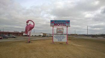 Flamingo Motel Marshalltown Exteriér fotografie